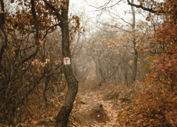 The 6 Best Places You Should Visit In November