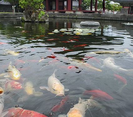 The Ultimate Guide to Backpacker Hostels in Europe