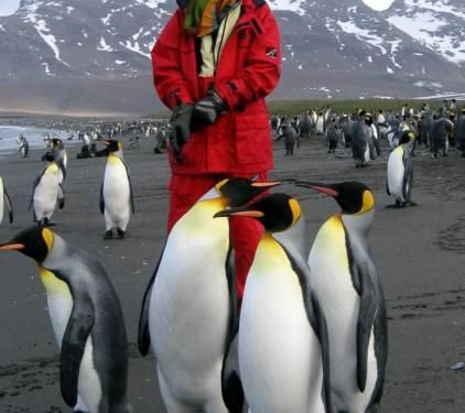 Discovering the Wonders of Antartica: A Journey to a Featured Destination