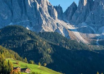 Top 5 Countries to Live in According to Quality of Life