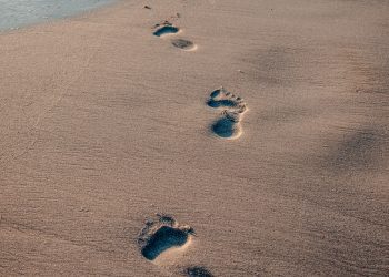 Eco-Friendly Travel: Simple Ways to Reduce Your Carbon Footprint