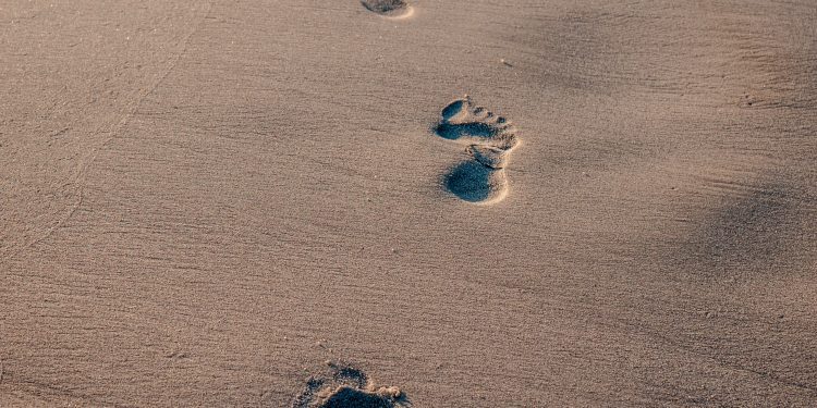 Eco-Friendly Travel: Simple Ways to Reduce Your Carbon Footprint